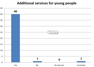 Additional services for young people